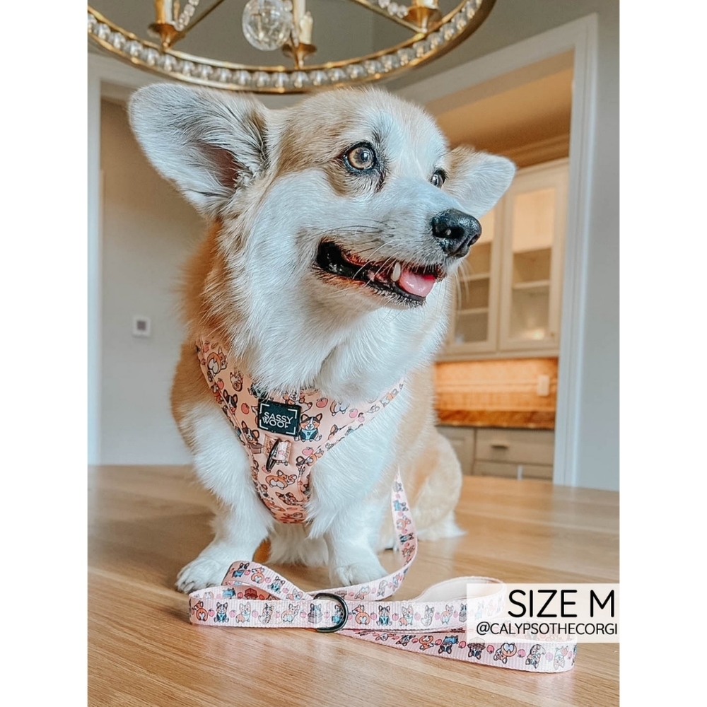 Sassy Woof Corgilicious Small Dog Harness - Picture 15 of 16